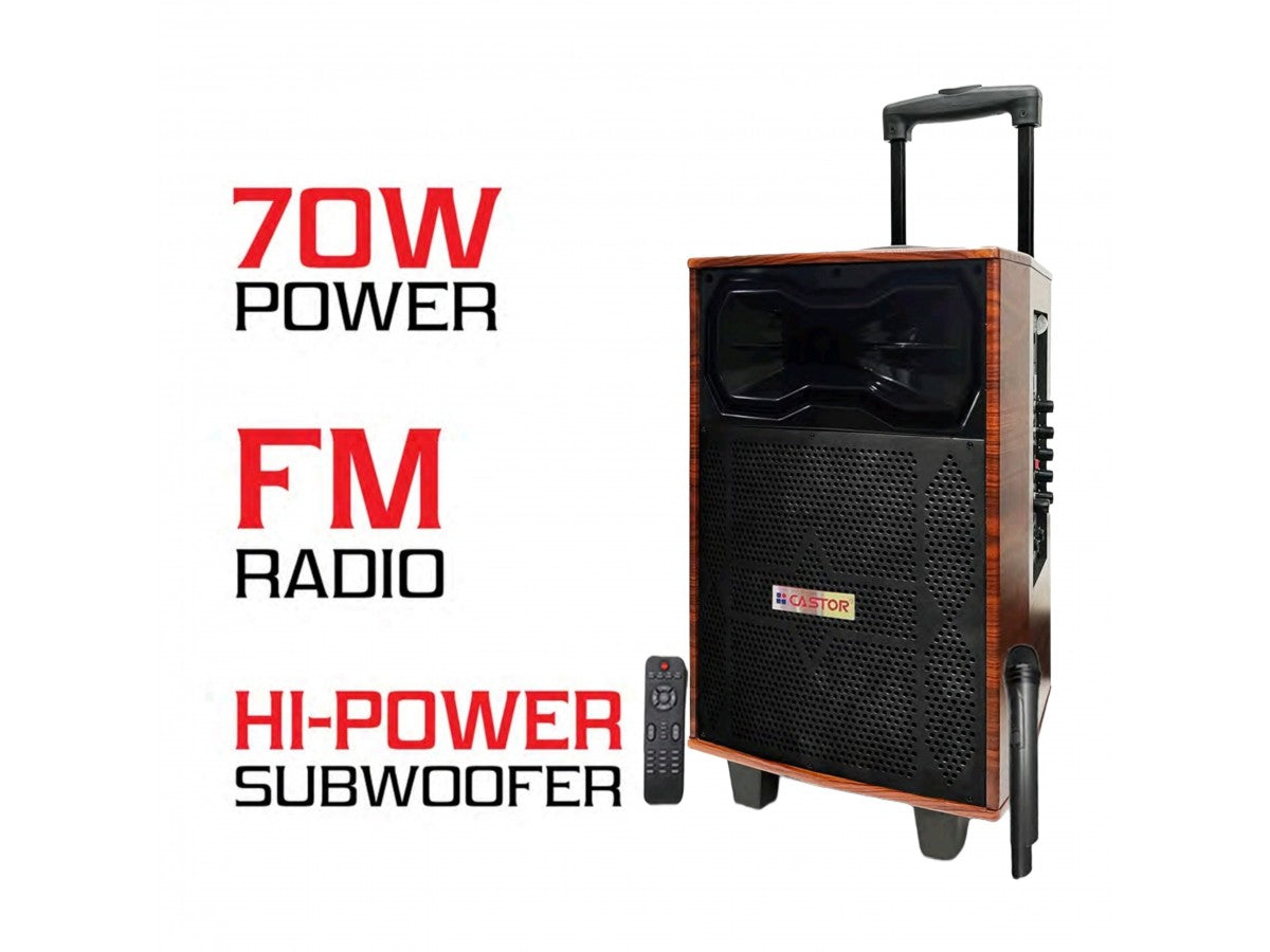 Castor Trolly Bluetooth Speaker 70W CT TS3600